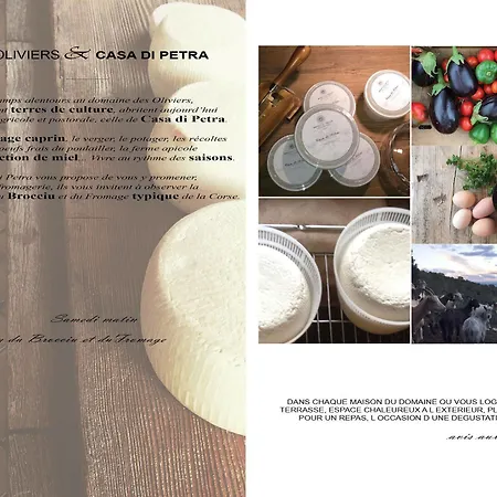 Les Oliviers * Πόρτο Βέκιο