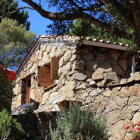 Les Oliviers Porto-Vecchio (Corsica)