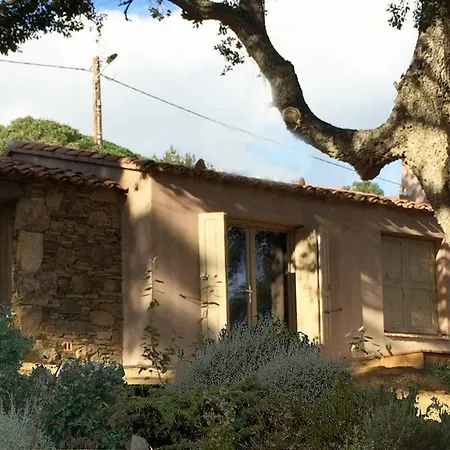 Les Oliviers Hotel Porto-Vecchio (Corsica)