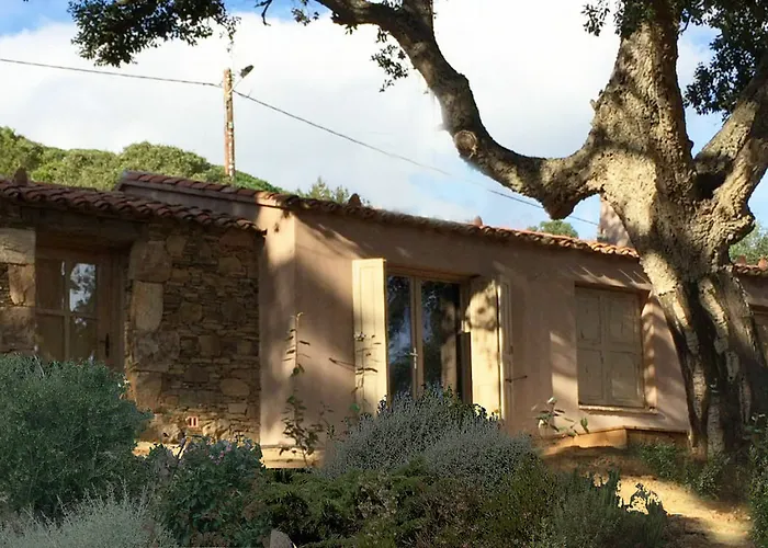 Les Oliviers Hotel Porto-Vecchio (Corsica)