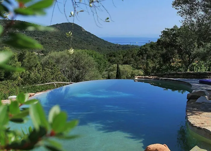 Les Oliviers Porto-Vecchio (Corsica)